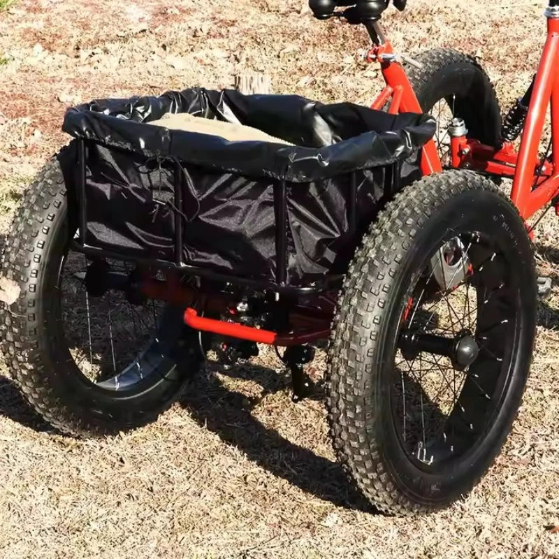 Fat tire dirt pedal quad bike snow