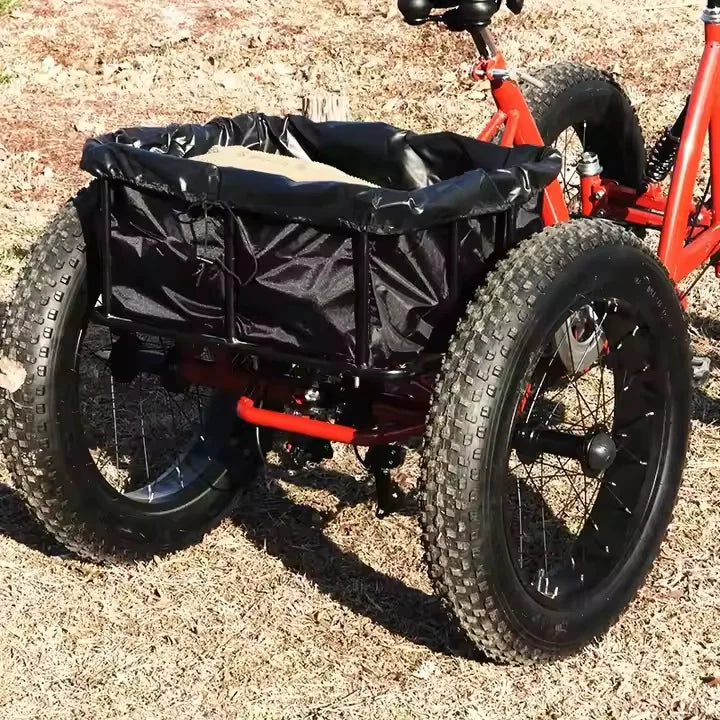Fat tire dirt pedal quad bike snow