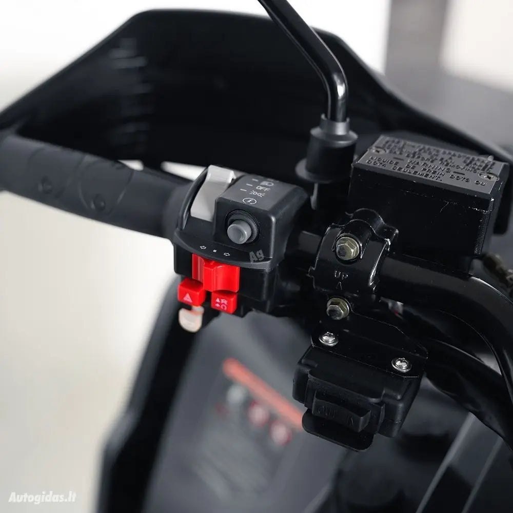 Adult 1000cc Dune Buggy off Road Gas Motorcycle Automatic 4x4 Side by Side Quad ATV