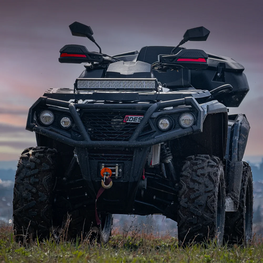 Adult 1000cc Dune Buggy off Road Gas Motorcycle Automatic 4x4 Side by Side Quad ATV